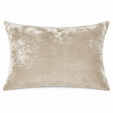 Dream Silk Velvet Pillow - Champagne