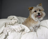 Petite Silk Velvet Ruffle Linen Collection - Creme - Linen Salvage Et Cie